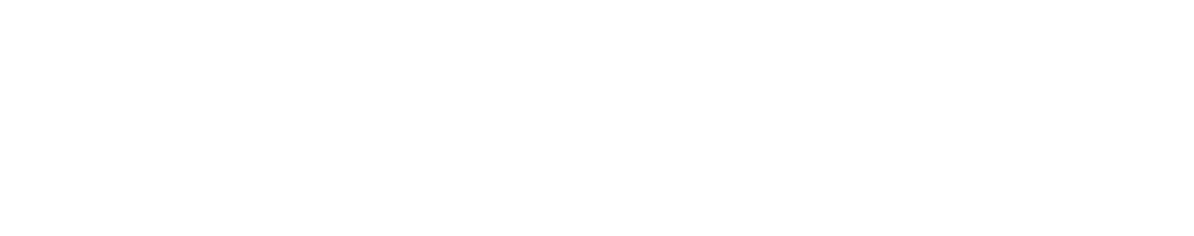 NextSong Logo_172